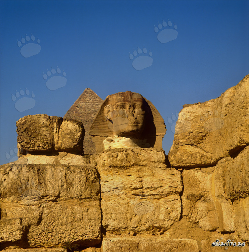 Sfinge di Giza con la piramide di Chefren