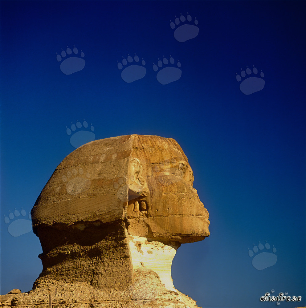 La Gran Esfinge de Giza - Majestuoso emblema de Egipto
