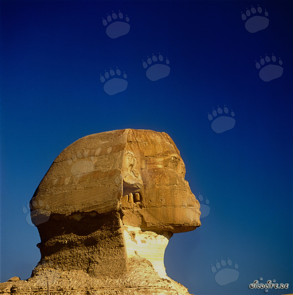 The Great Sphinx of Giza - Majestic Landmark of Egypt