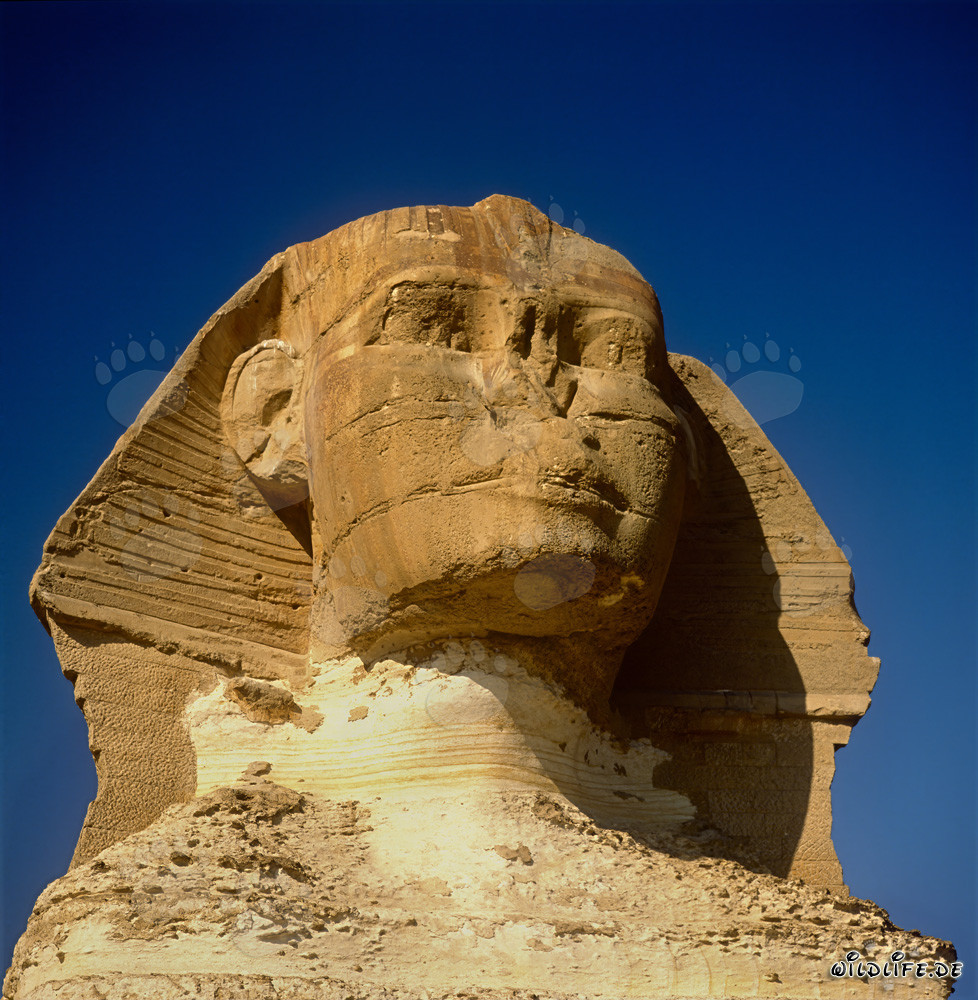 Le mystérieux secret du Sphinx de Gizeh révélé