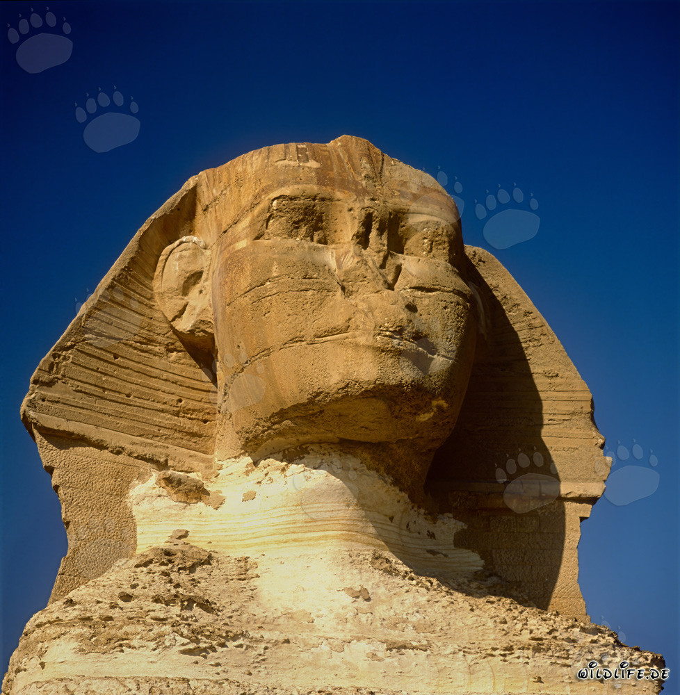 Das mysteriöse Geheimnis des Sphinx von Gizeh enthüllt