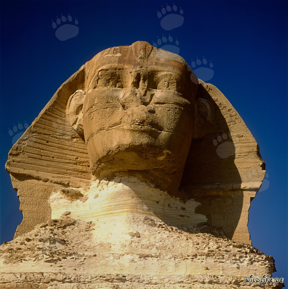 El majestuoso retrato de la Gran Esfinge de Giza