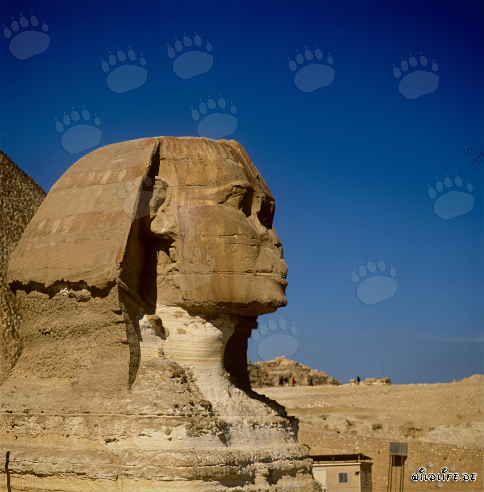 Gran Esfinge de Guiza - Monumento místico de Egipto