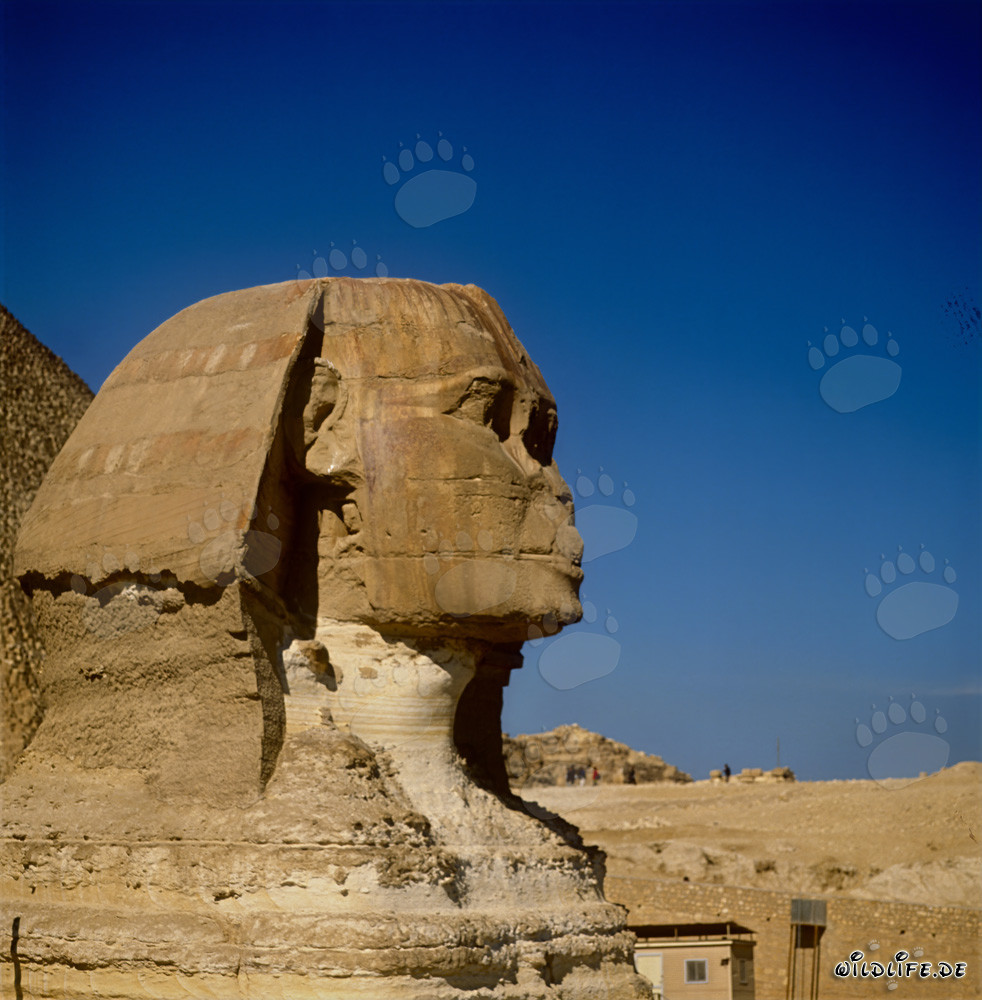 Great Sphinx of Giza - Mystical Landmark of Egypt