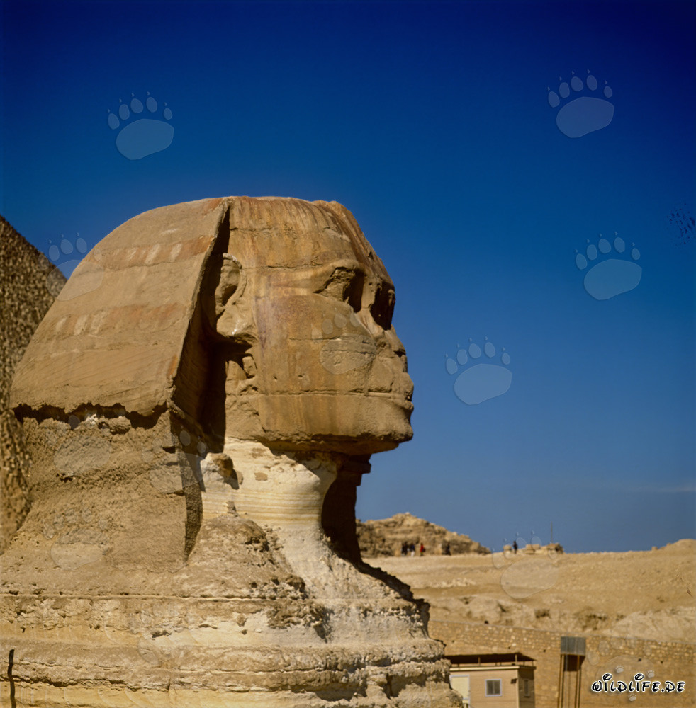 Grande Sphinx de Gizeh - Symbole mystique de l'Égypte