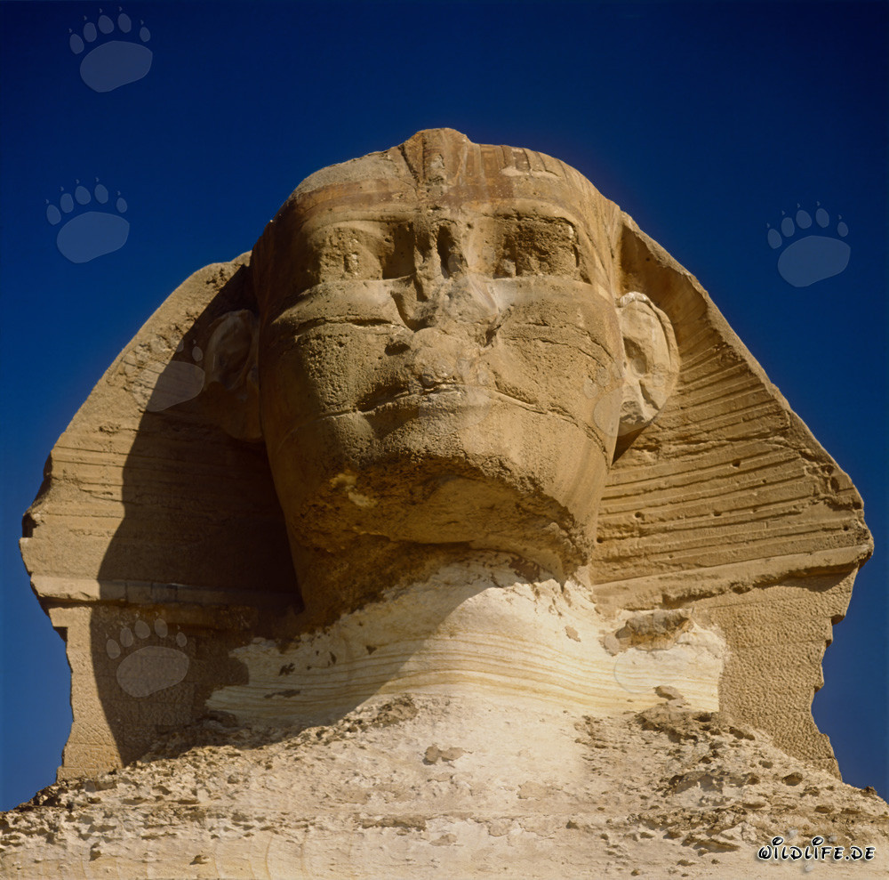 Esfinge de Gizeh - el misterioso emblema de Egipto
