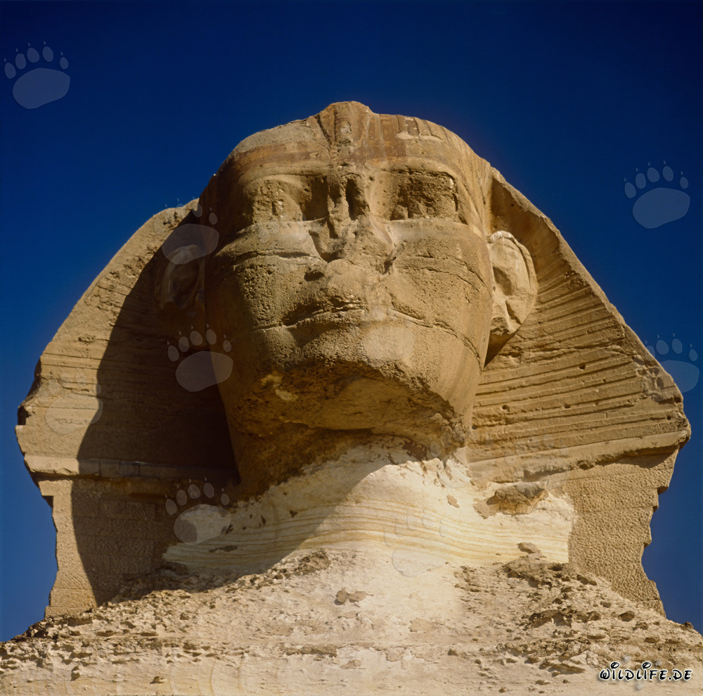 Great Sphinx of Giza - the enigmatic symbol of Egypt