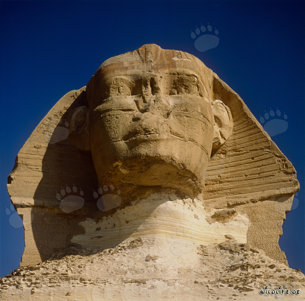 Sfinge di Giza - il misterioso simbolo dell'Egitto