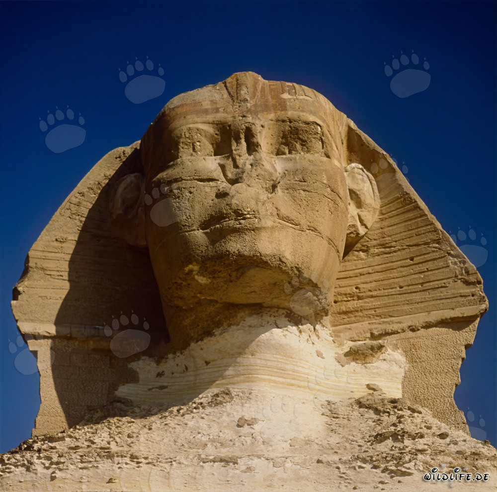 Sphinx de Gizeh - le mystérieux symbole de l'Égypte