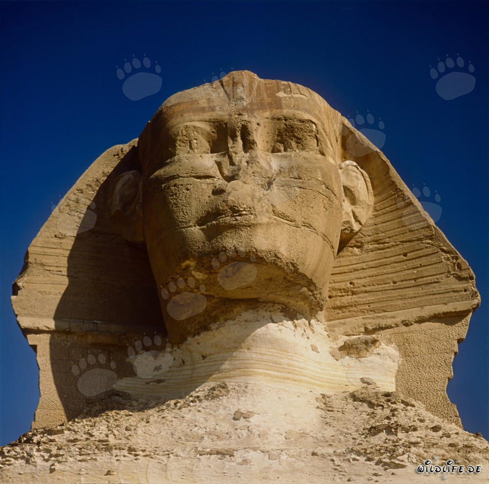 Sphinx von Gizeh - das geheimnisvolle Wahrzeichen Ägyptens