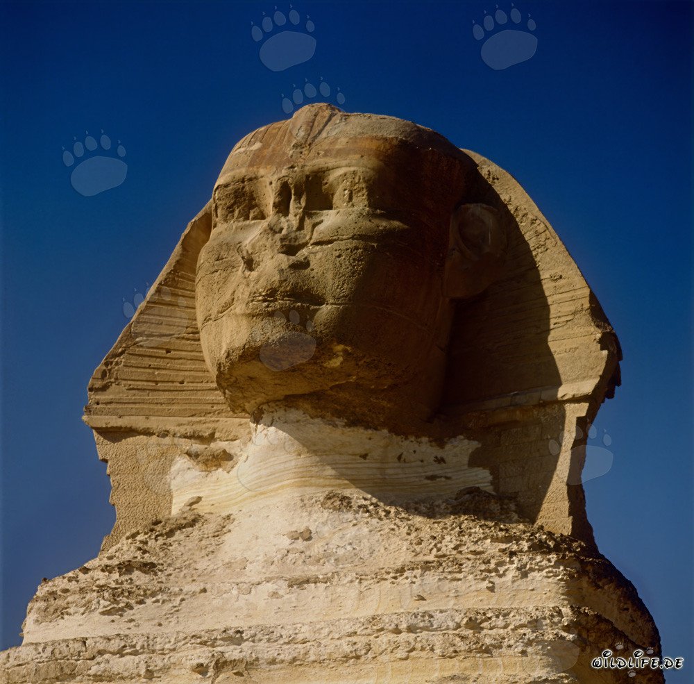 La misteriosa Esfinge de Gizeh - un emblemático enigma de Egipto