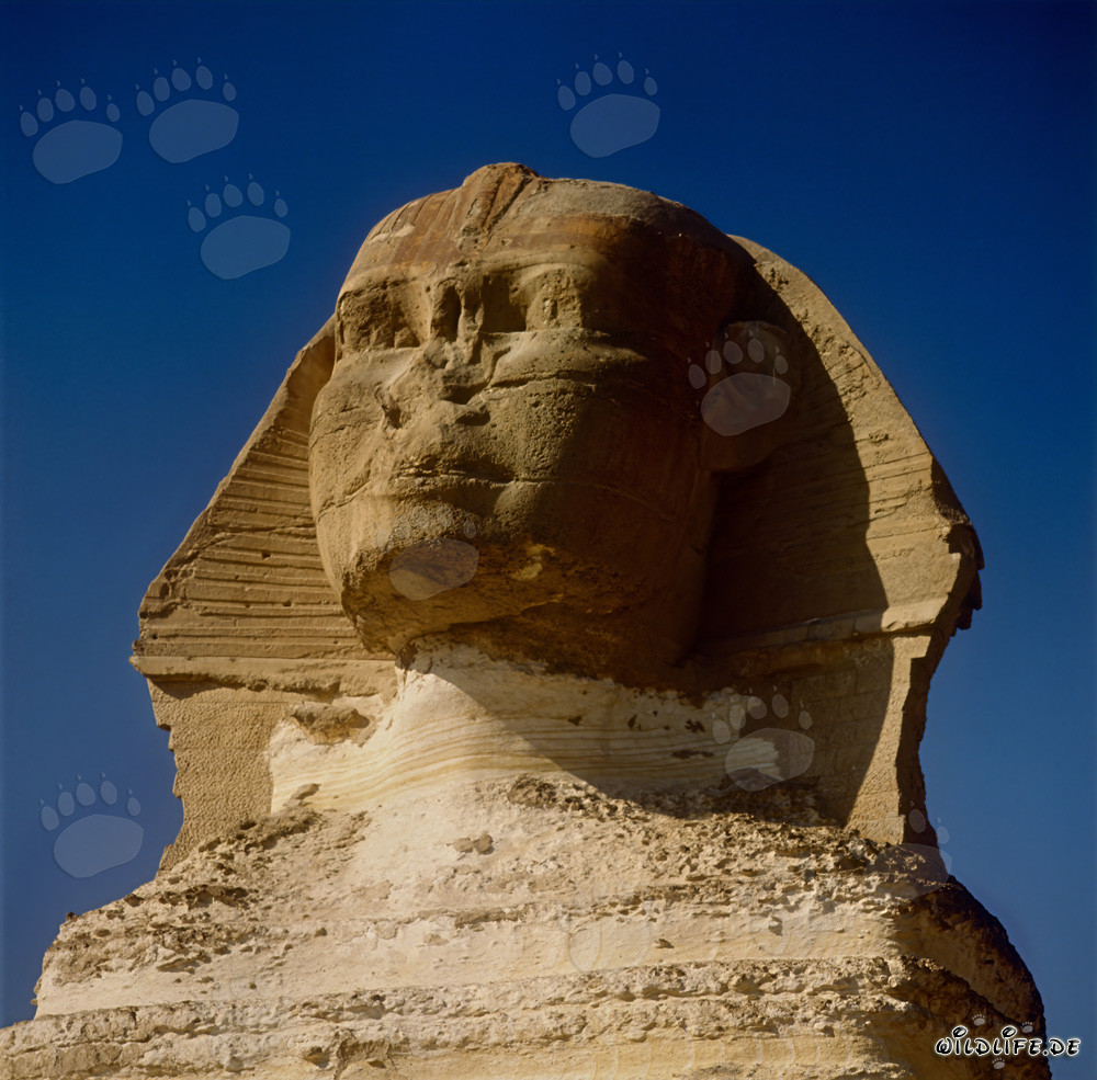 Le mystérieux Sphinx de Gizeh - un monument énigmatique de l'Égypte