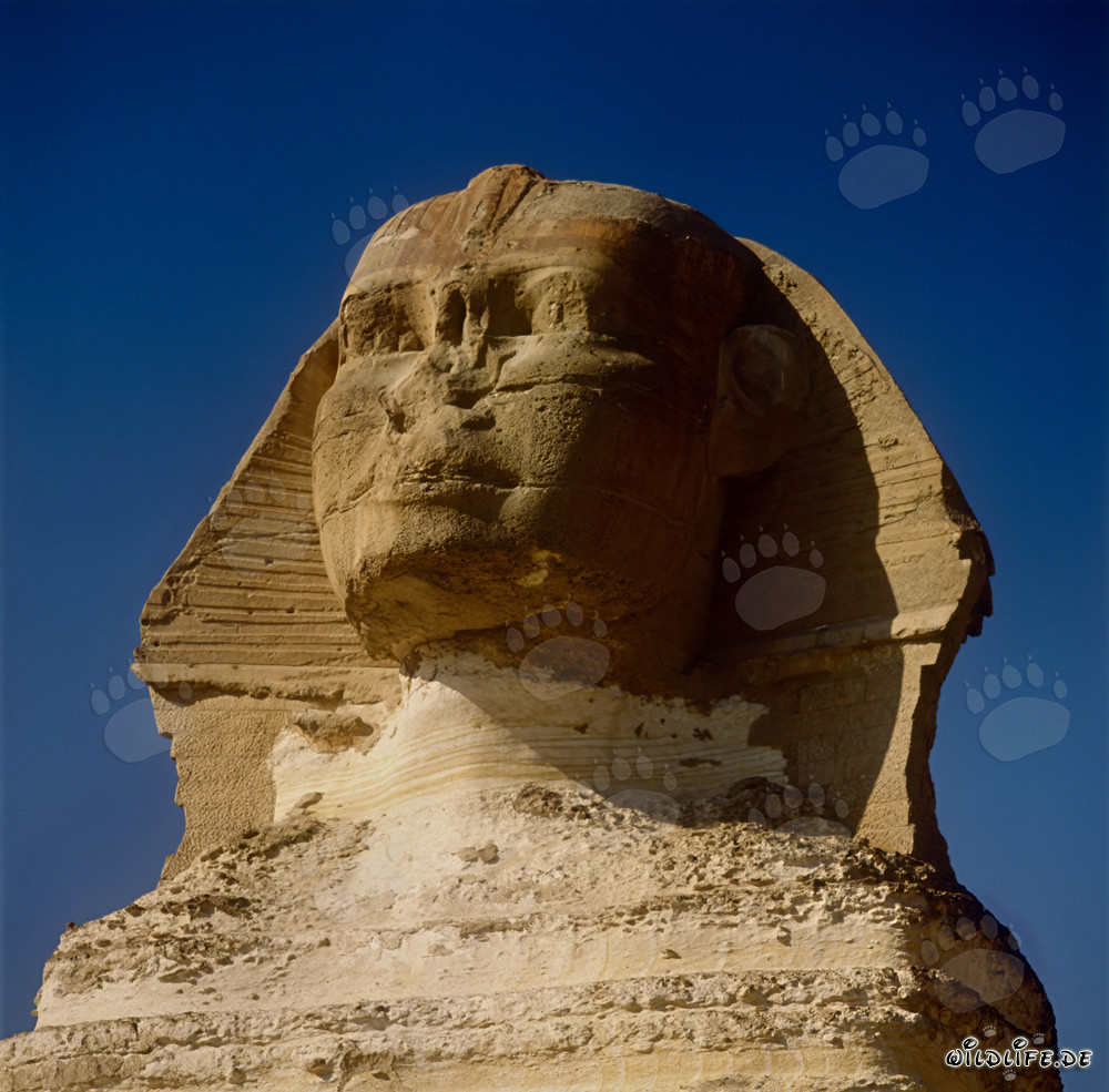 Die geheimnisvolle Sphinx von Gizeh - ein rätselhaftes Wahrzeichen Ägyptens