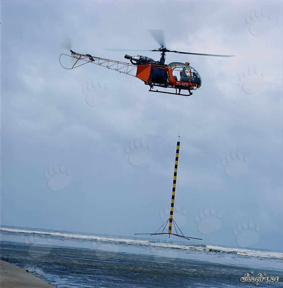 Prise de profil avec hélicoptère au North Breakwater à Richards Bay, Afrique du Sud
