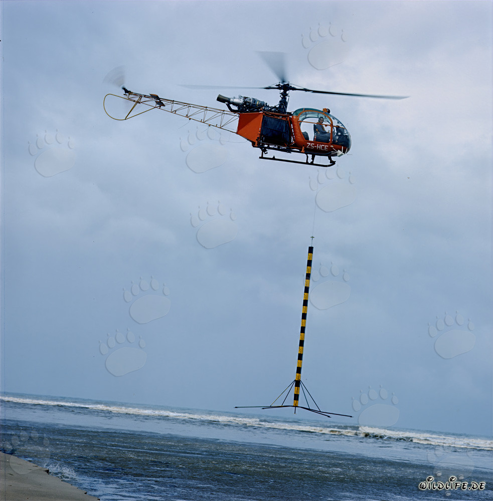 Profilo con elicottero al North Breakwater a Richards Bay, Sudafrica