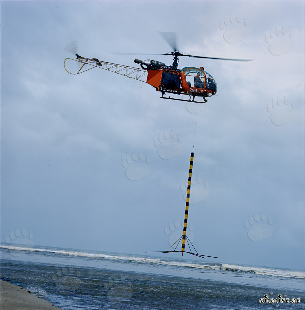 Sounding with Helicopter at North Breakwater in Richards Bay, South Africa