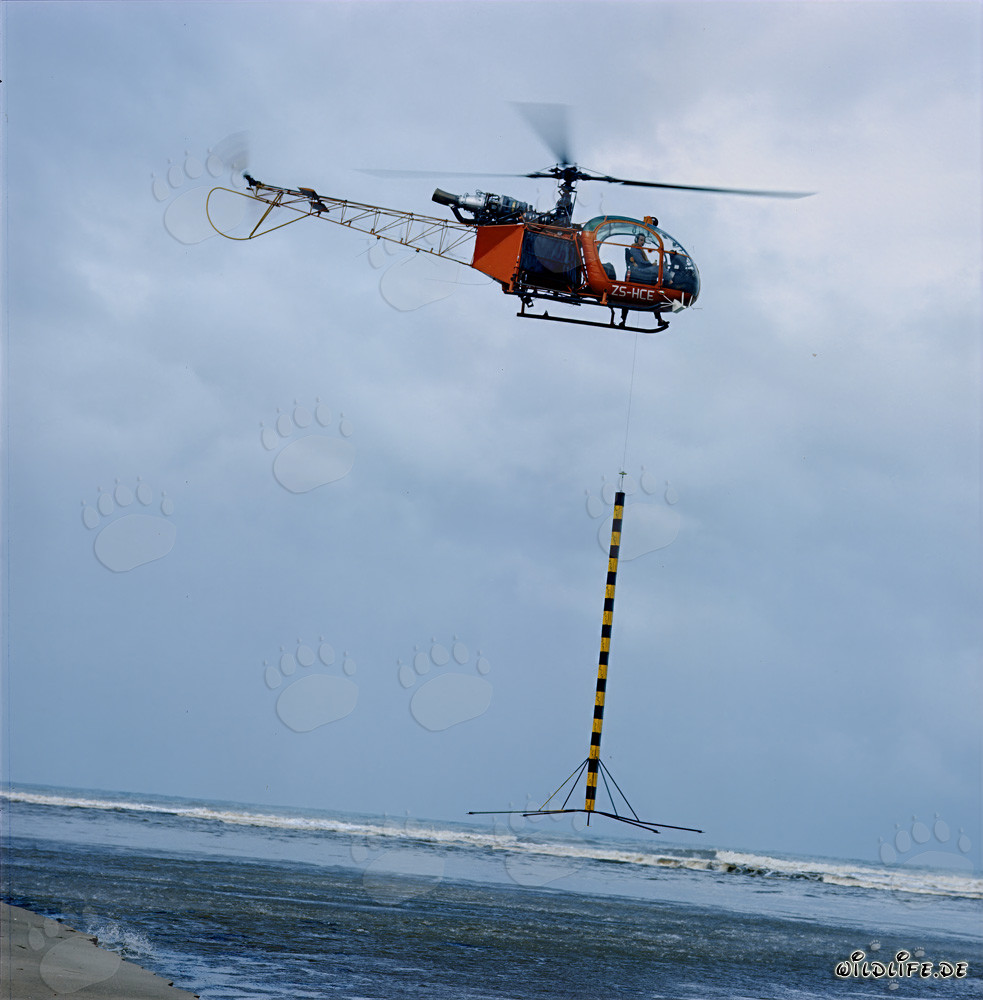 Toma de perfil con helicóptero en el North Breakwater en Richards Bay, Sudáfrica