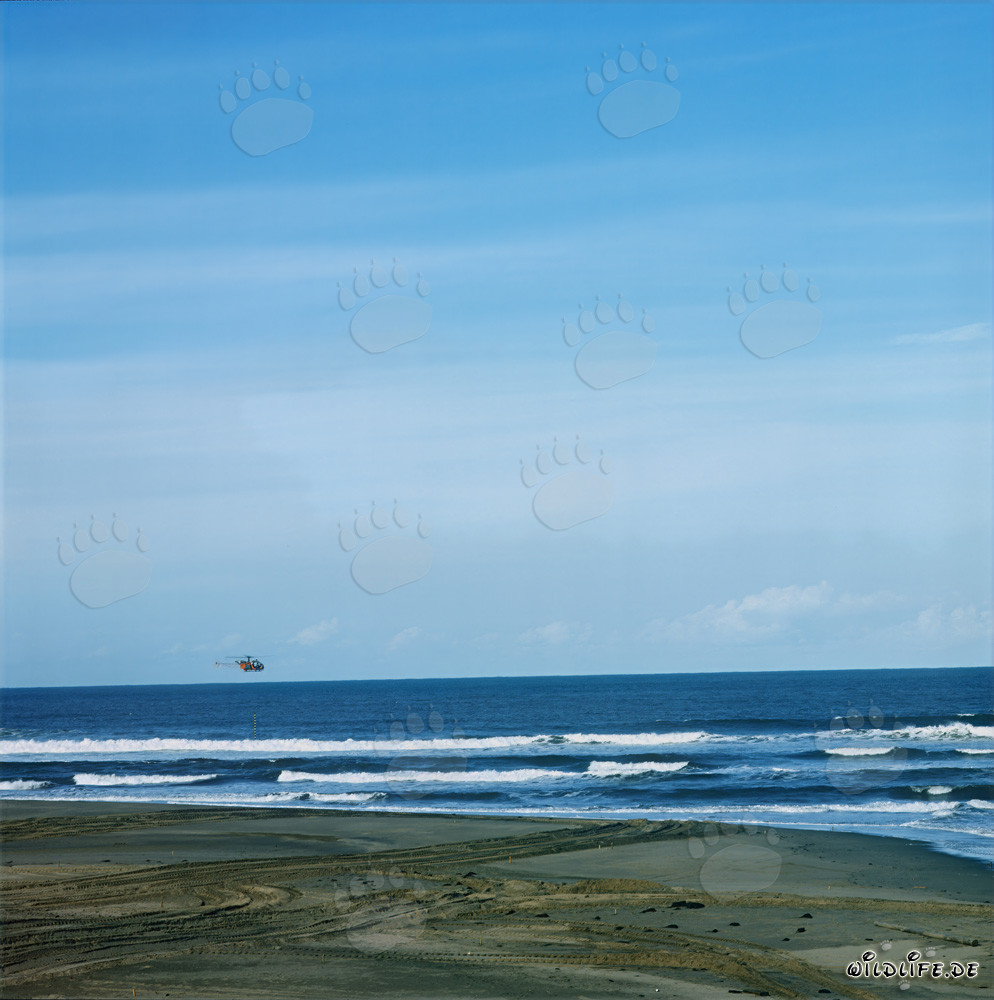Levantamiento en helicóptero en el futuro North Breakwater