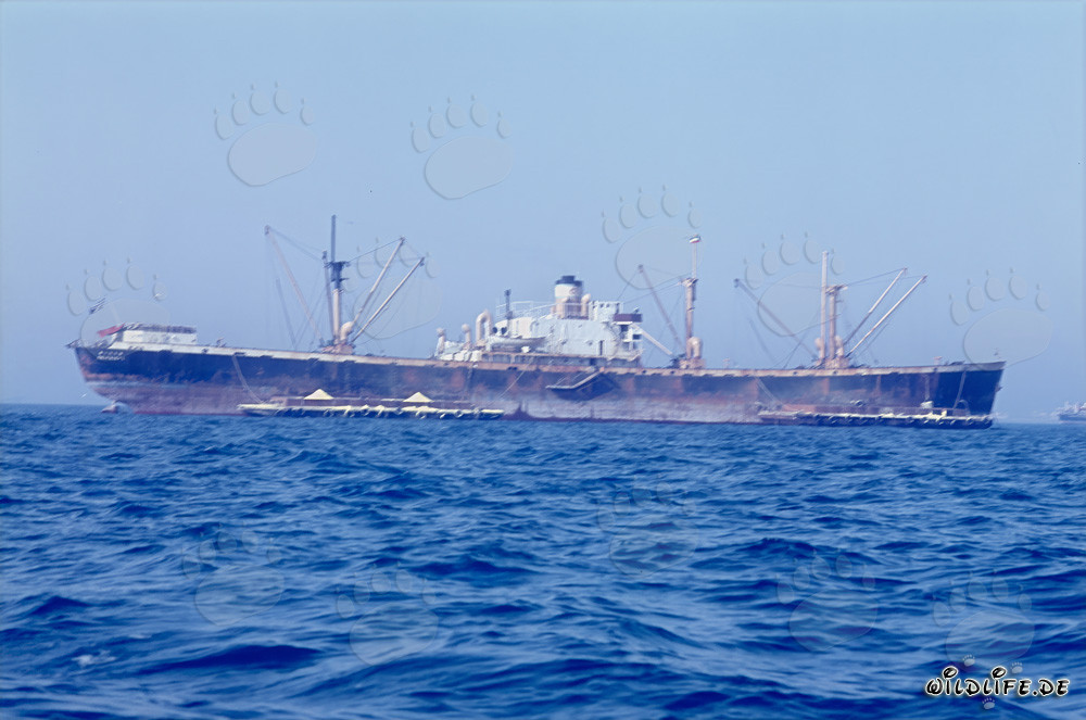 Cargo devant le port en construction de Richards Bay
