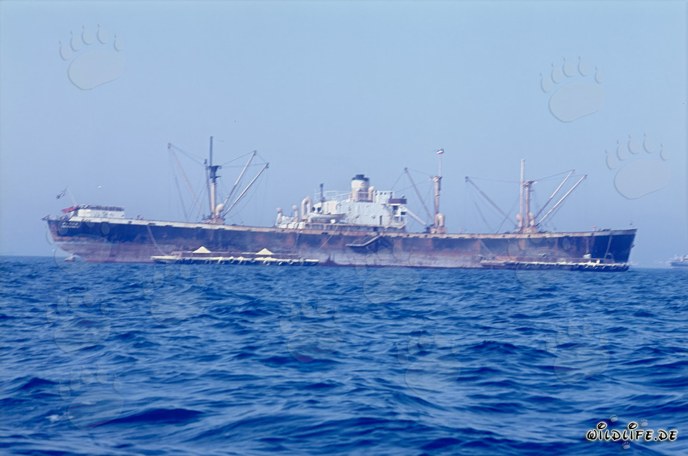Cargo di fronte al porto in costruzione di Richards Bay
