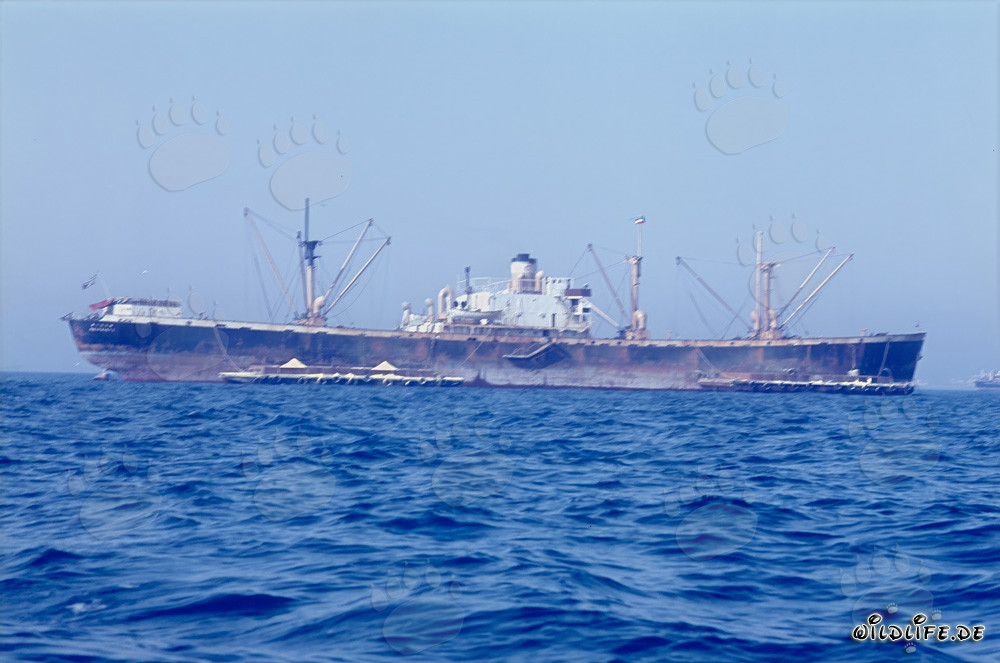 Cargo Ship off the under construction port of Richards Bay