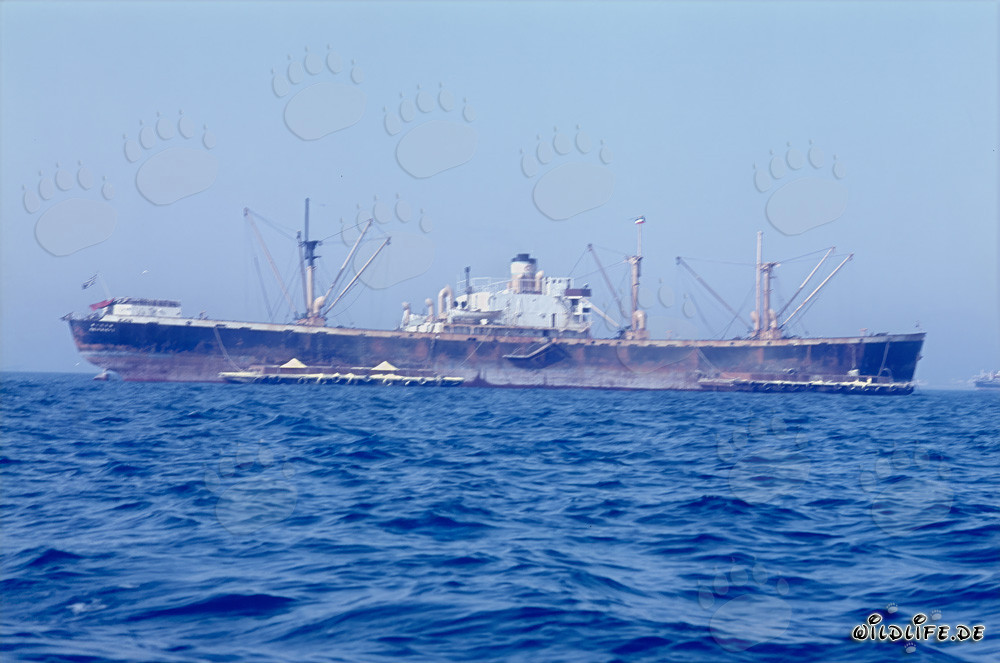 Carguero frente al puerto en construcción de Richards Bay