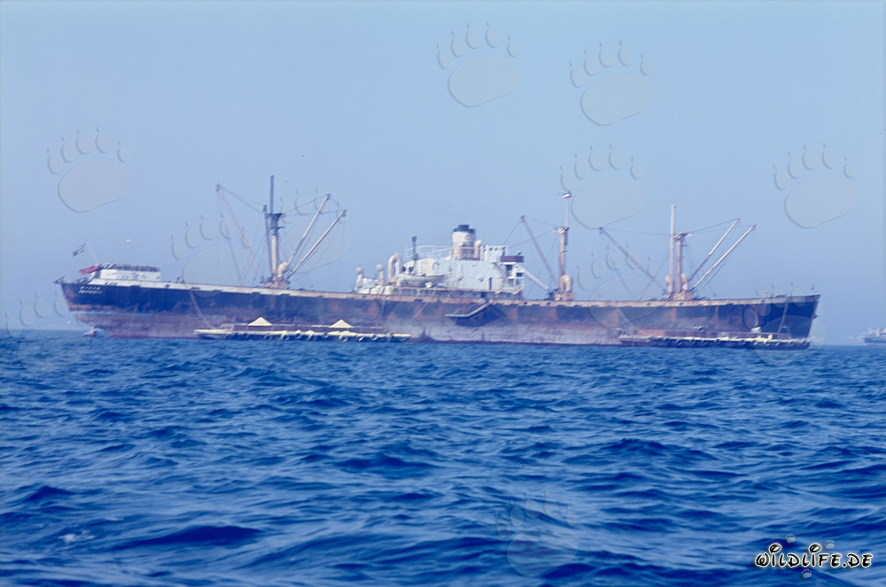 Frachter vor dem im Bau befindlichen Hafen Richards Bay