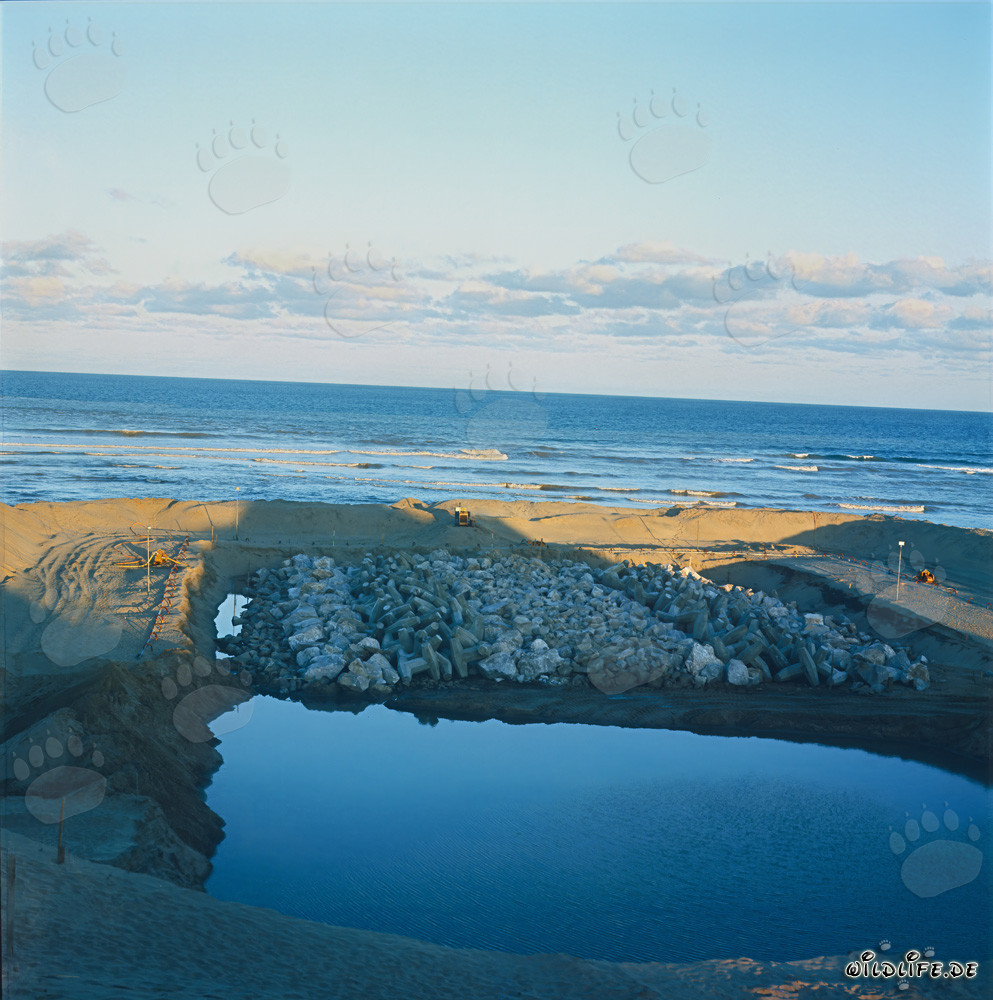 Inizio dei lavori al molo North Breakwater a Richards Bay, Sudafrica