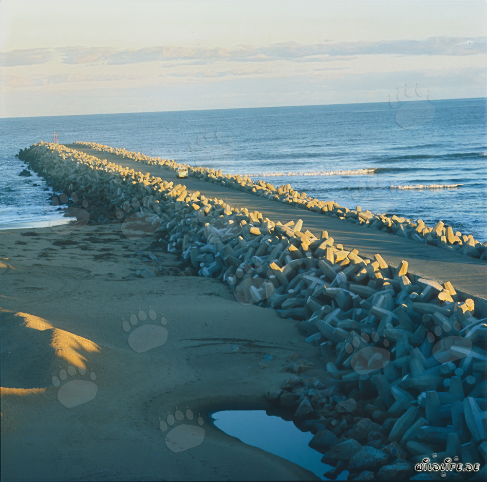 Der North Breakwater von Richards Bay: Bereit für den Einsatz des Manitowoc 4600