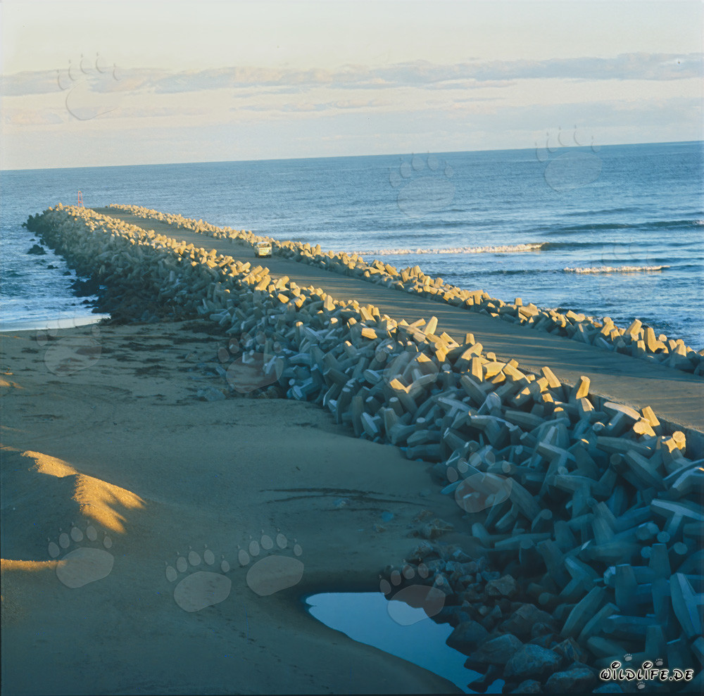 The North Breakwater of Richards Bay: Ready for the Manitowoc 4600 operation