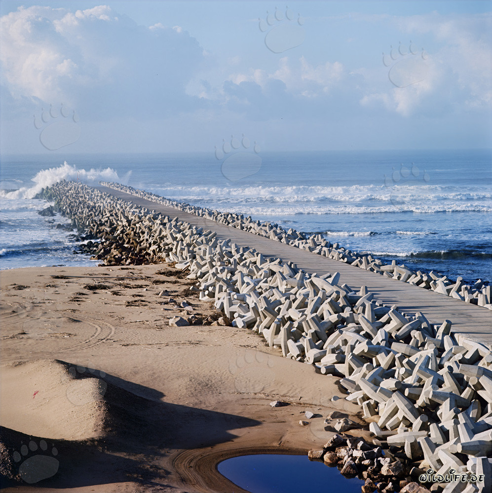 Rompeolas del norte preparado para el uso de la grúa Manitowoc 4600