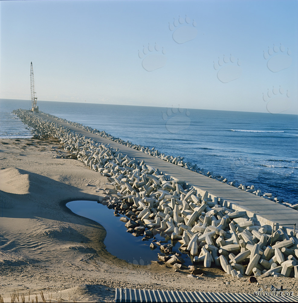 Manitowoc 4600 constructing the North Breakwater in Richards Bay, South Africa