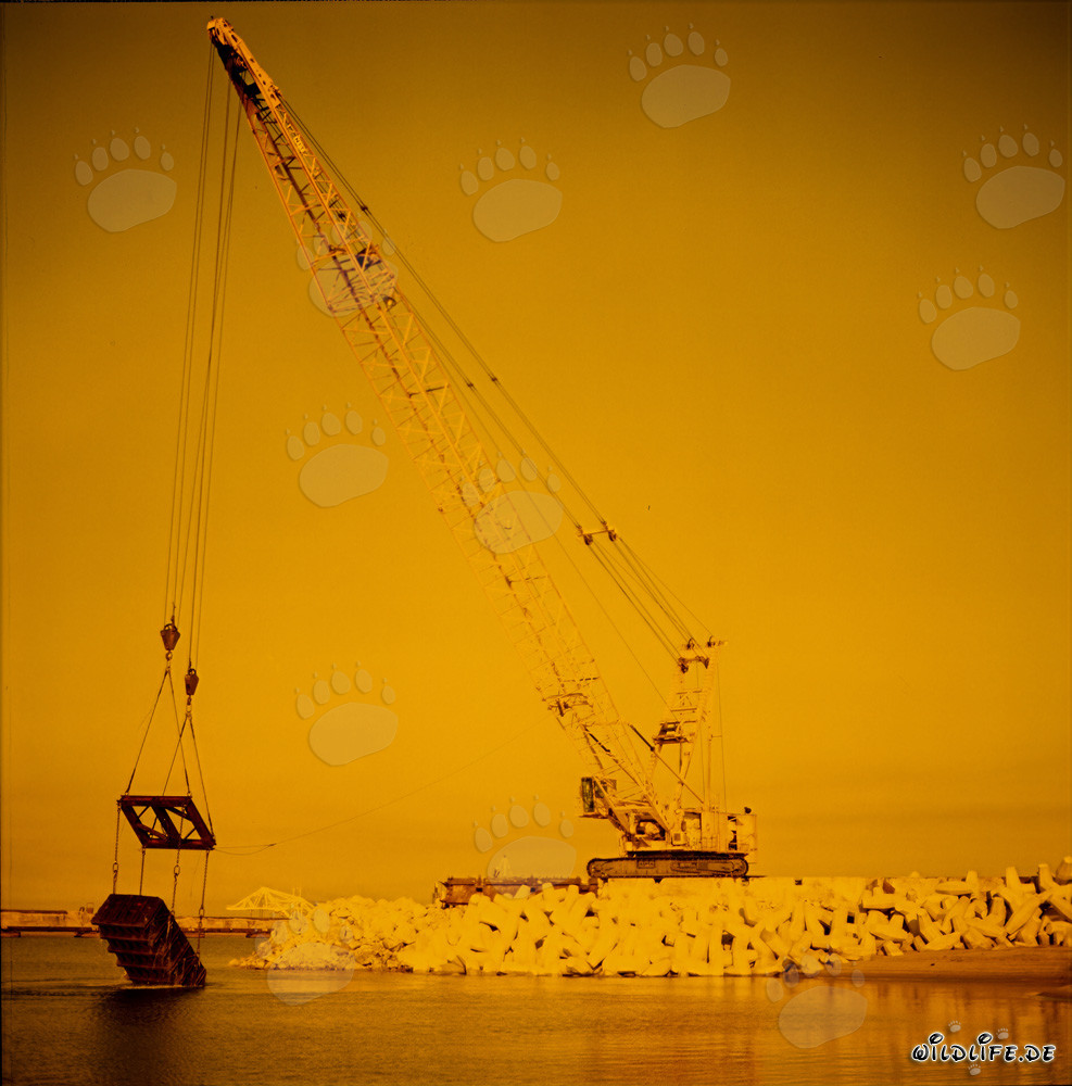 Instalación de las piedras en el North Breakwater al atardecer con una grúa