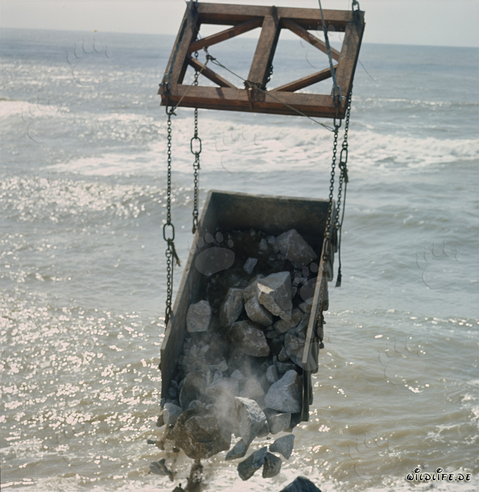 Installation de pierres au North Breakwater avec un skip dans le port de Richards Bay