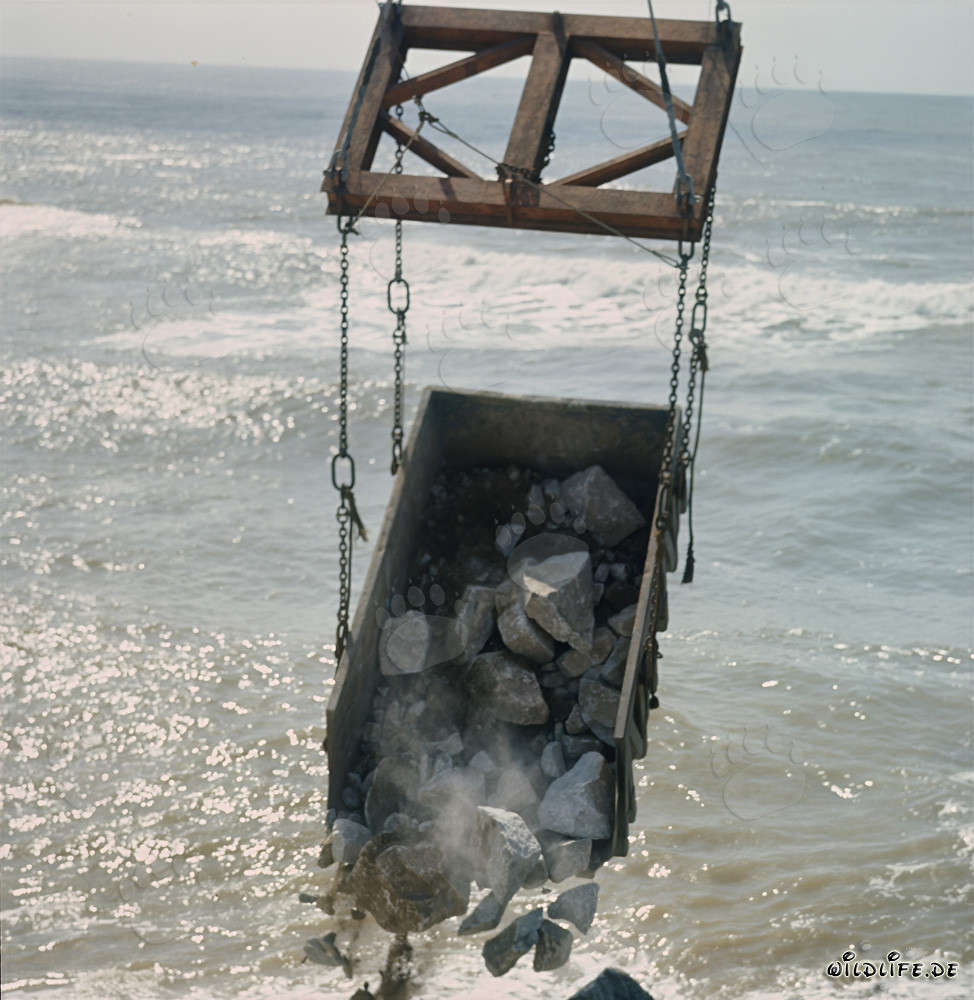 Placing Quarry Stones with Skip at North Breakwater in Richards Bay Harbor