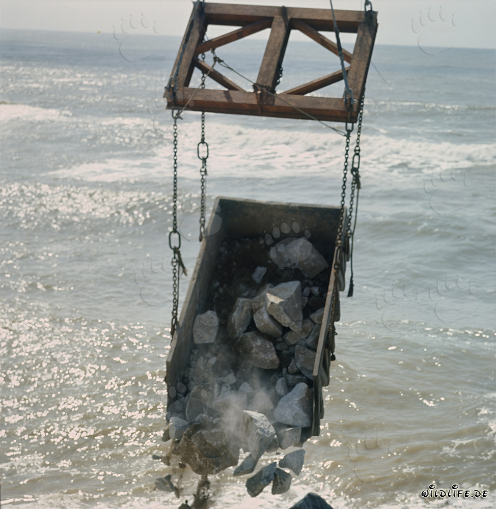 Steineeinbau am North Breakwater mit Skip im Hafen von Richards Bay