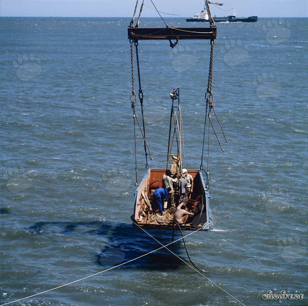 Faszinierende Bodenuntersuchung am North Breakwater in Richards Bay