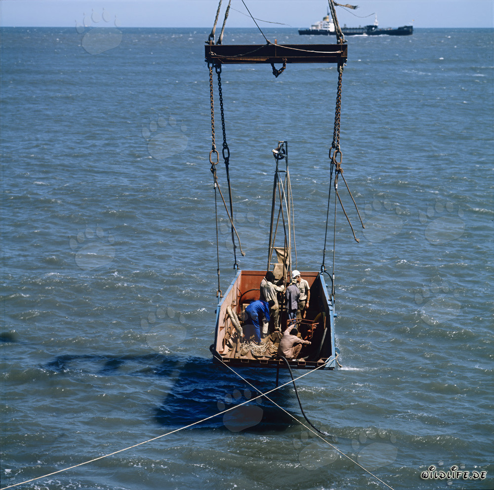 Fascinante estudio del suelo en el North Breakwater en Richards Bay