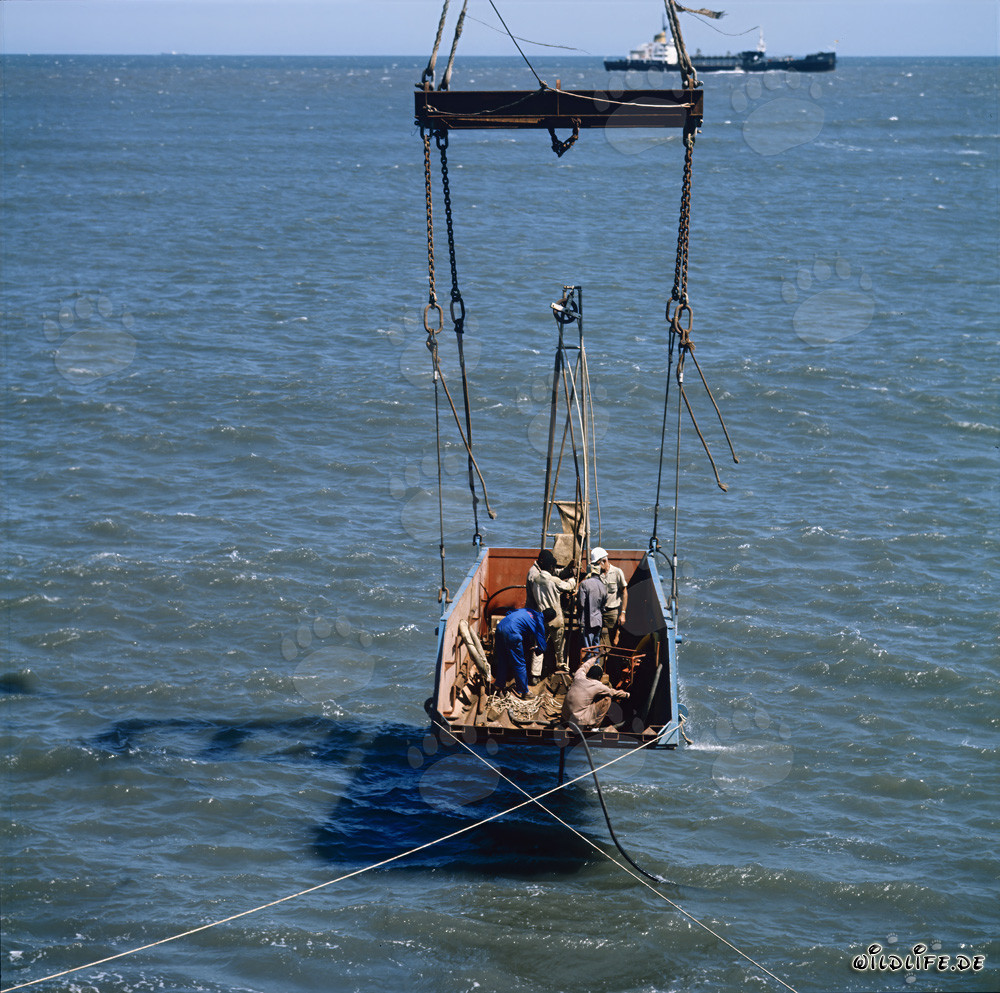 Affascinante studio del suolo al North Breakwater a Richards Bay