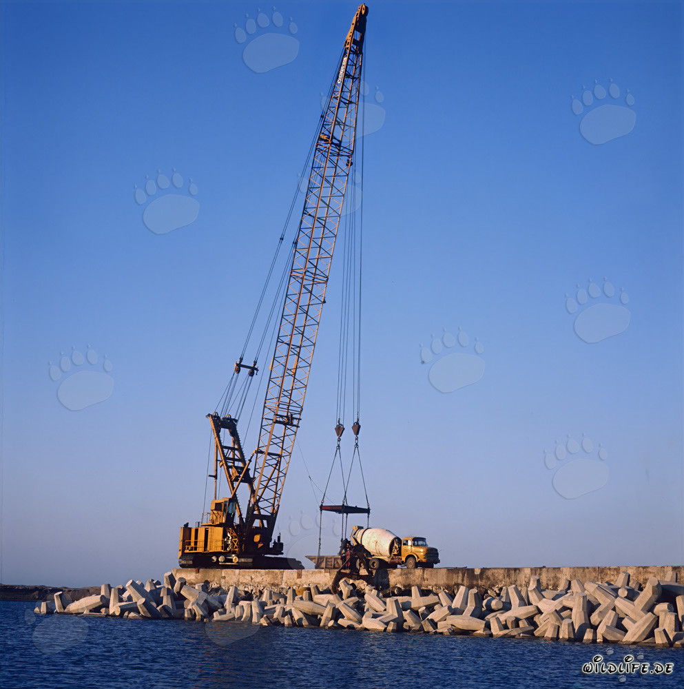 Concrete-work on North Breakwater in Richards Bay, Natal, South Africa