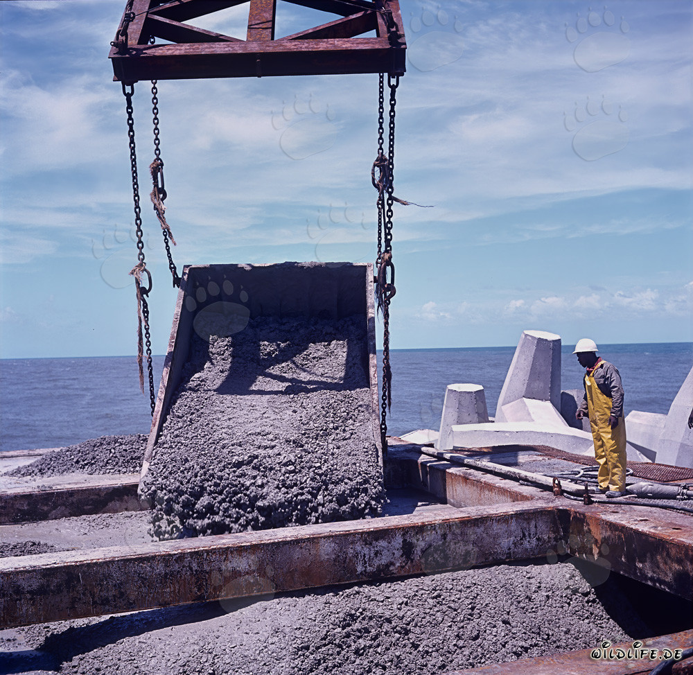 Concreting of the concrete head at North Breakwater in Richards Bay, Natal, South Africa