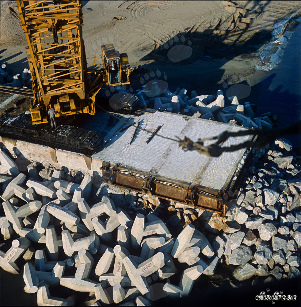 Betonierter 12 m Block am North Breakwater in Richards Bay Hafen