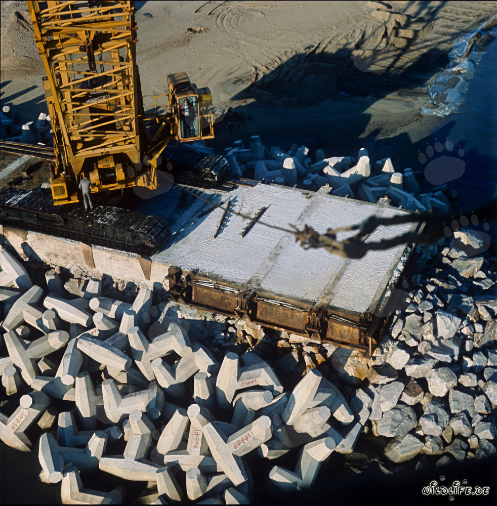 Bloc de béton de 12 m sur la jetée nord du port de Richards Bay