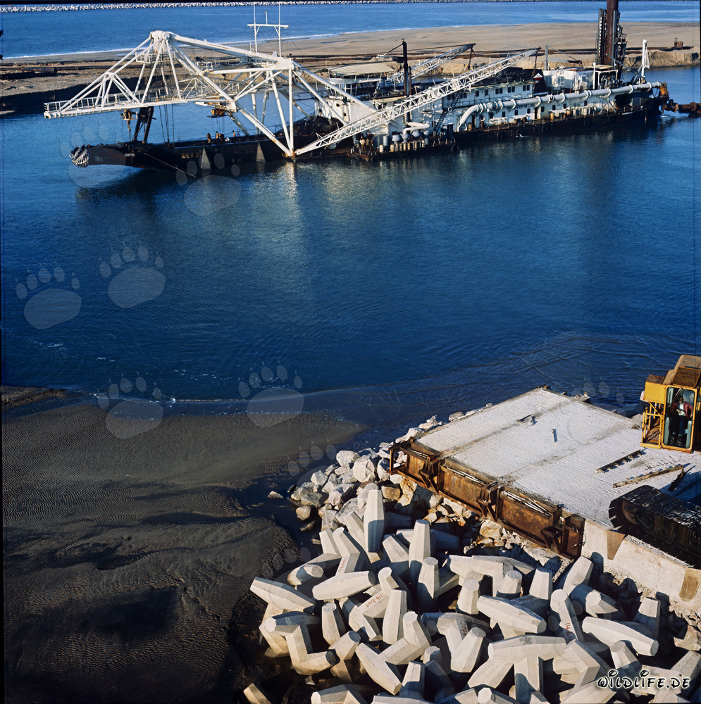 Bloc en béton préfabriqué sur la pointe nord du port de Richards Bay