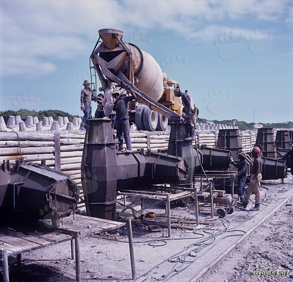 Dolosse Production at North Breakwater in Richards Bay