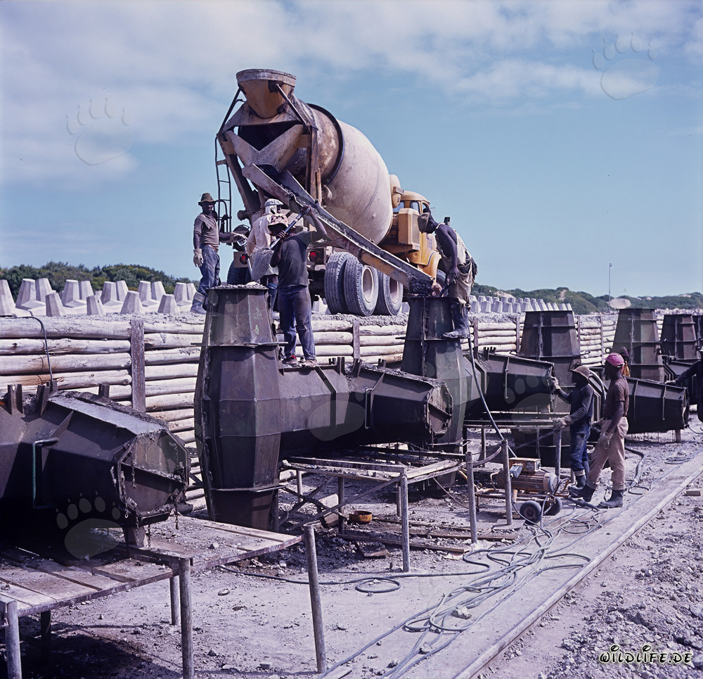 Production des dolos sur la jetée Nord de Richards Bay