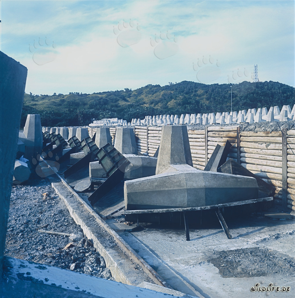 Planta de fabricación de dolos en el rompeolas norte de Richards Bay