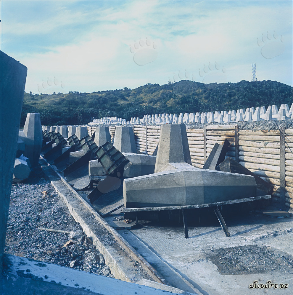Site de production de dolos sur la jetée Nord de Richards Bay