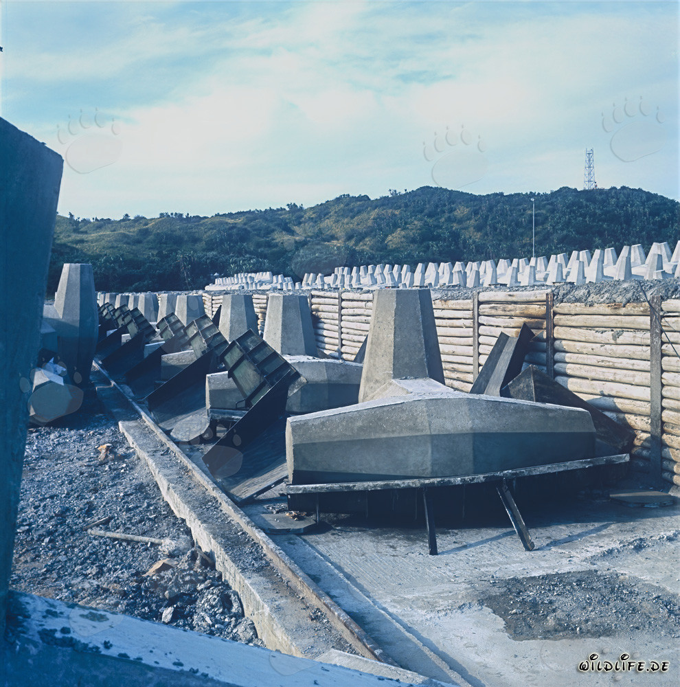 Area di produzione di dolos presso il frangiflutti nord di Richards Bay