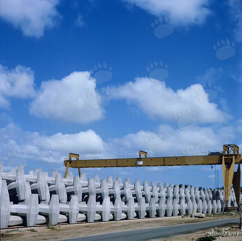 Production and Storage of Dolosse at North Breakwater